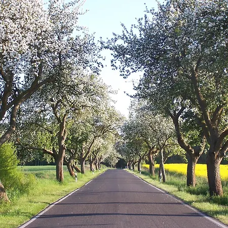 Appartamento See-h-stueck *